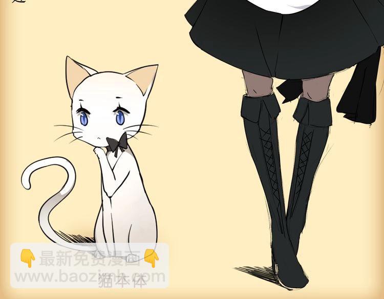 角色设定85