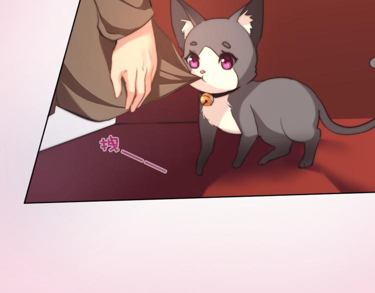 第8话 猫的报恩（下）10