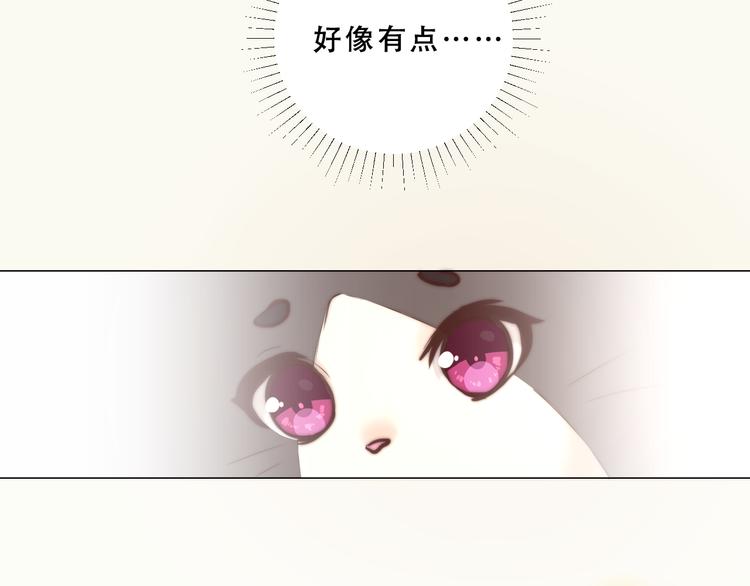 第7话 猫的报恩（上）55