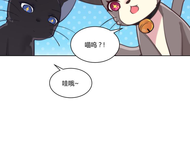 第4话 猫爪下的金鱼（上）5