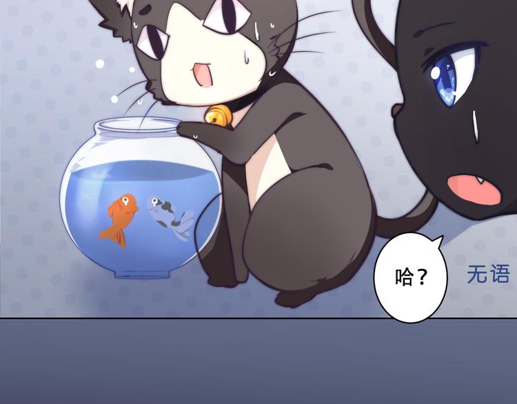 第5话 猫爪下的金鱼（下）17