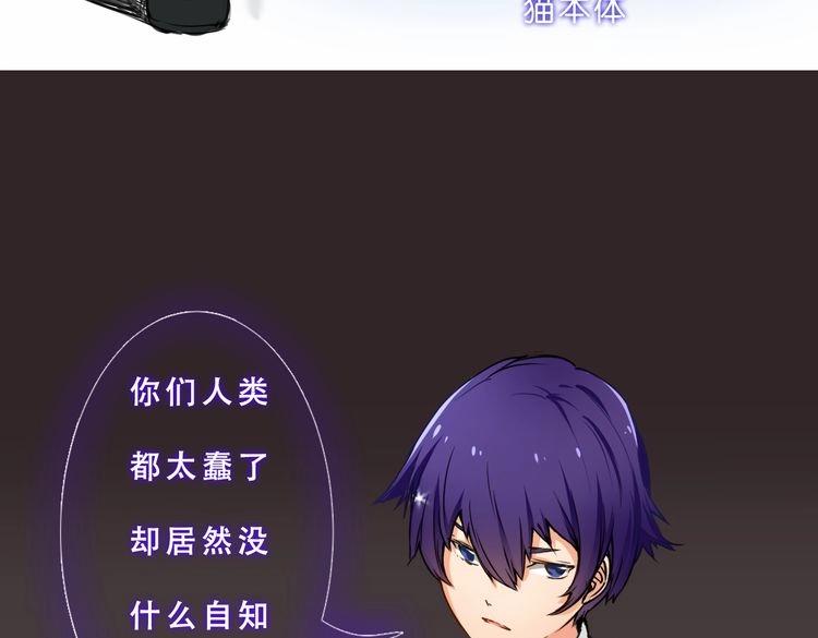 角色设定65