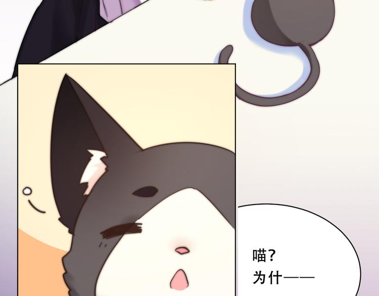 第7话 猫的报恩（上）33