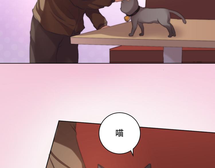 第8话 猫的报恩（下）9