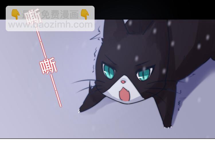 第8话 猫的报恩（下）39