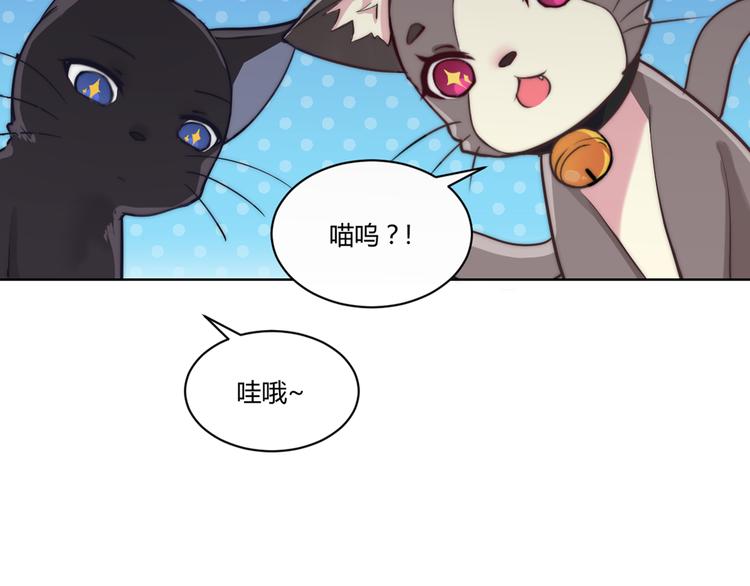 第5话 猫爪下的金鱼（下）6