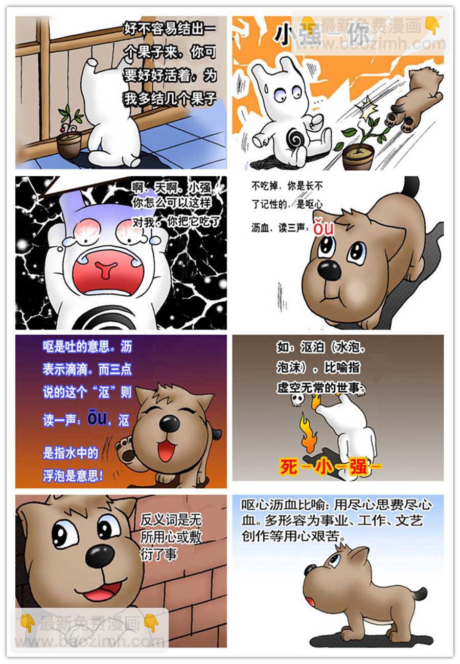文叙解字 第6集3