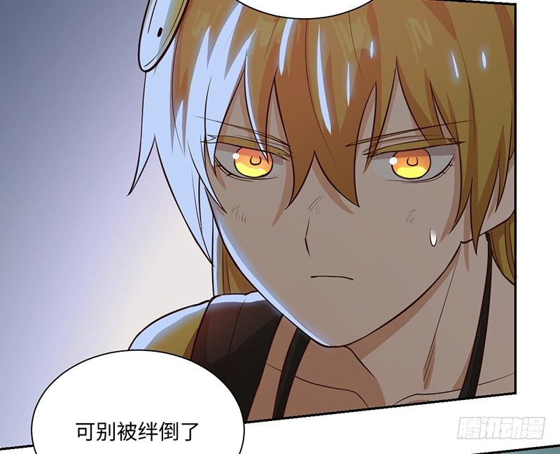 009-精英23