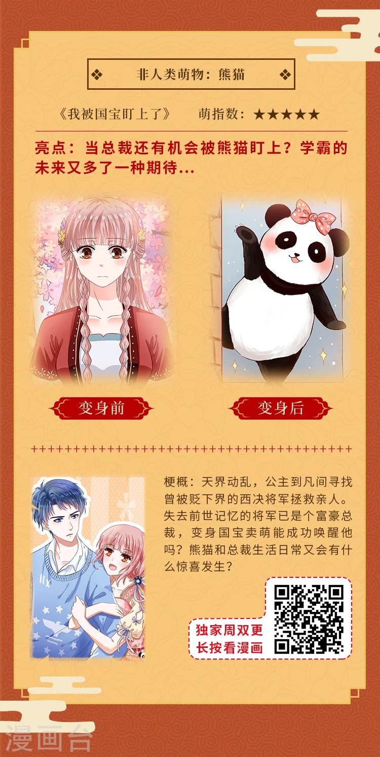 元宵同萌会，非人类家族陪你闹元宵5