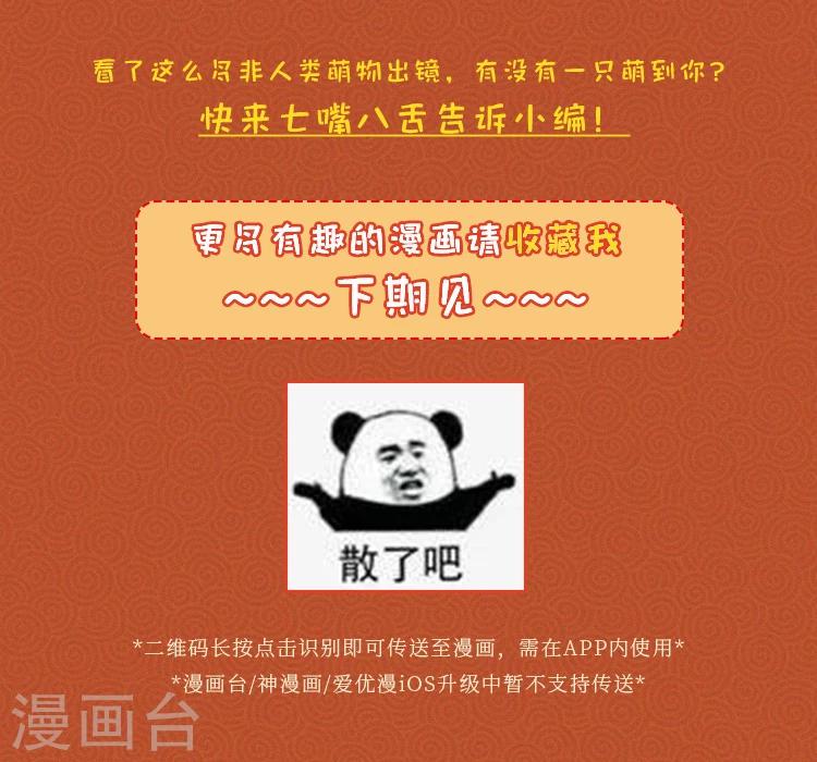 元宵同萌会，非人类家族陪你闹元宵11