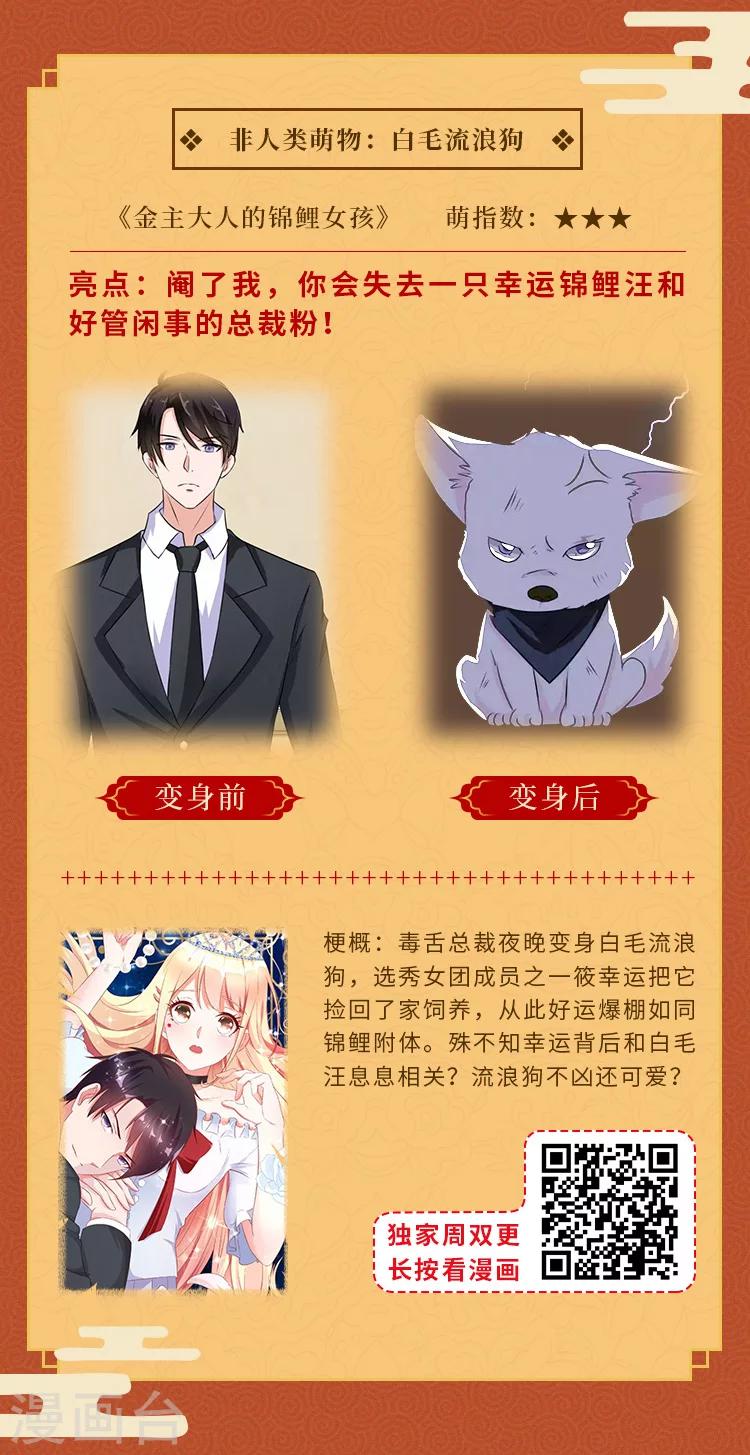 元宵同萌会，非人类家族陪你闹元宵2