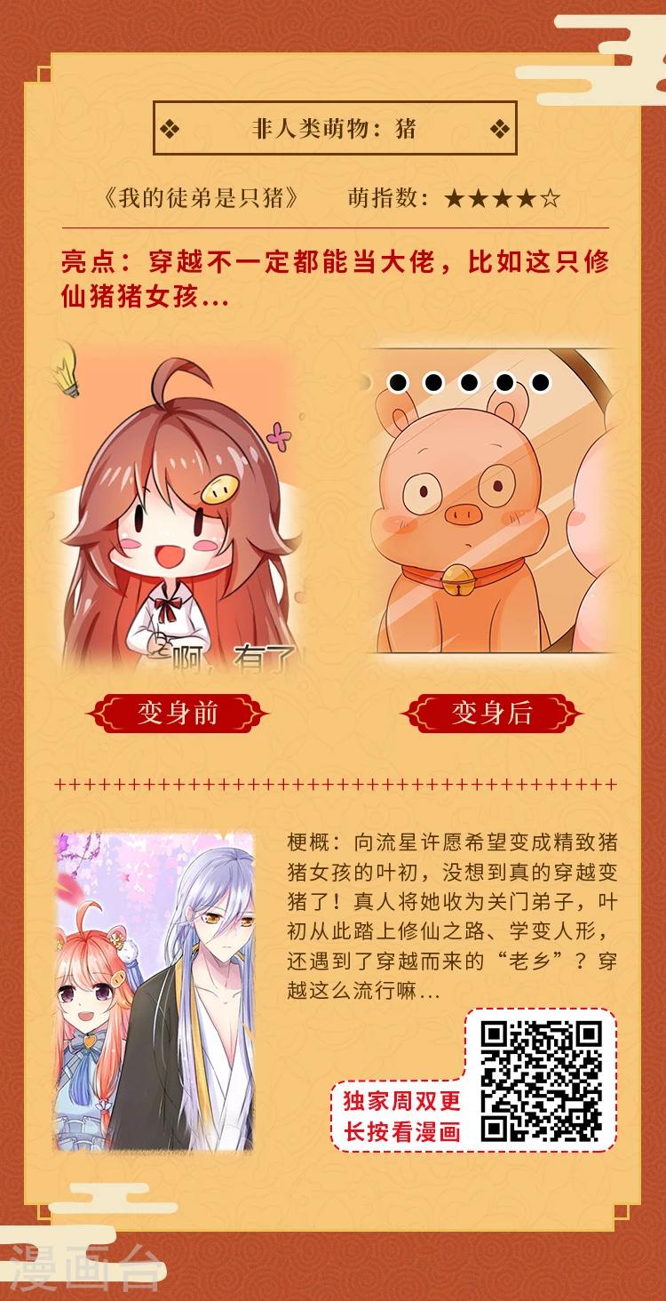 元宵同萌会，非人类家族陪你闹元宵9