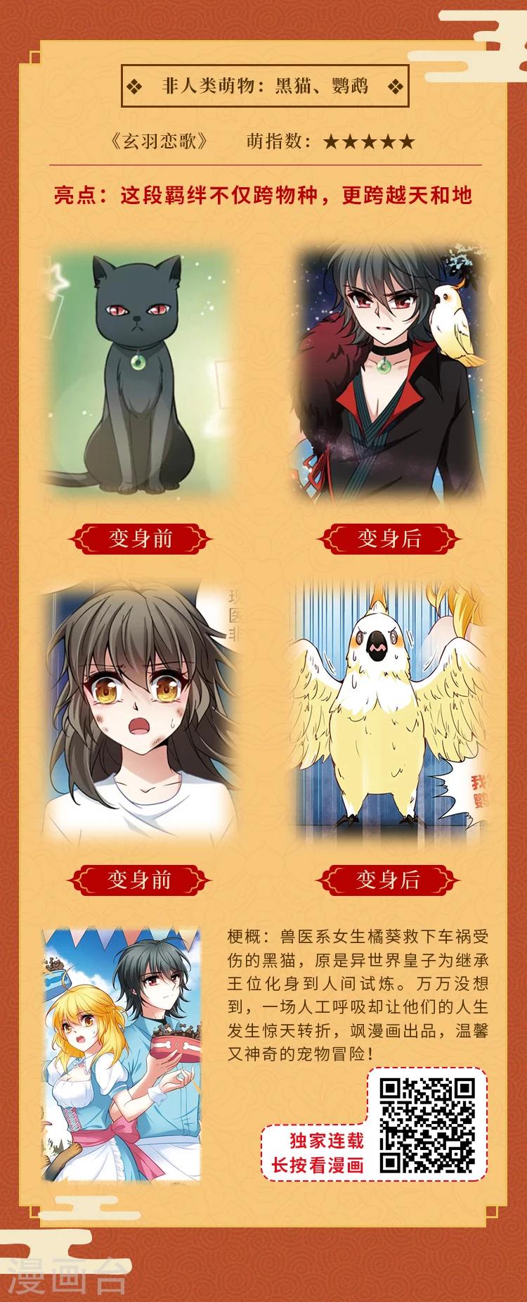 元宵同萌会，非人类家族陪你闹元宵10