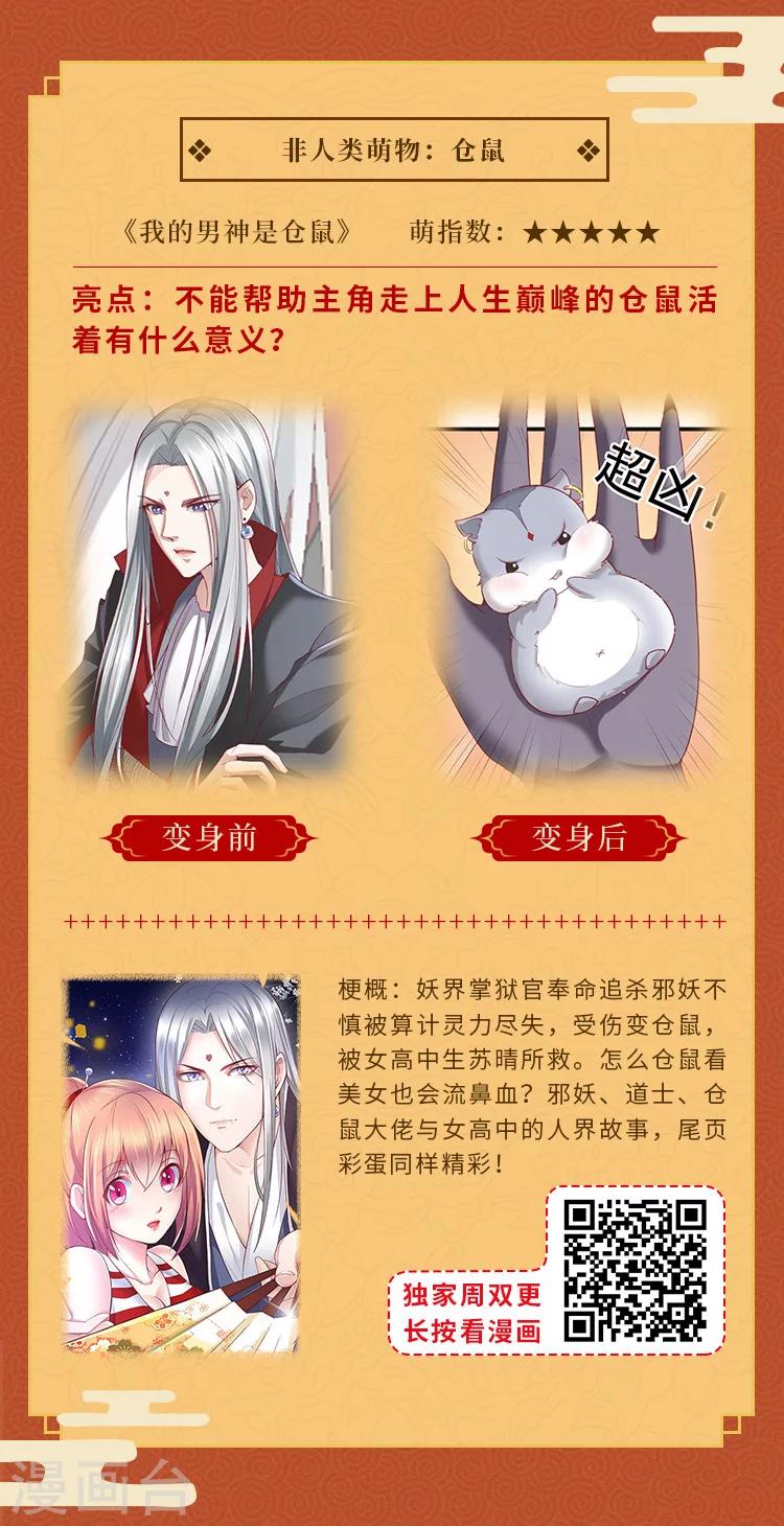 元宵同萌会，非人类家族陪你闹元宵3