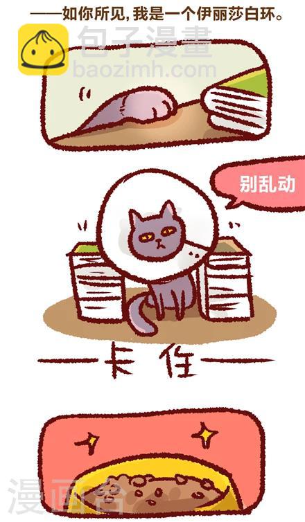 第22话1