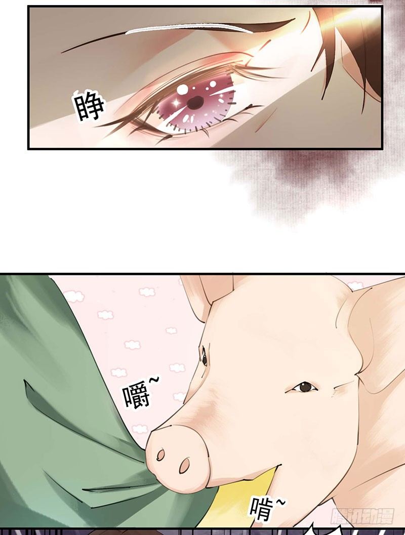 第1话 废猪叫谁呢？2