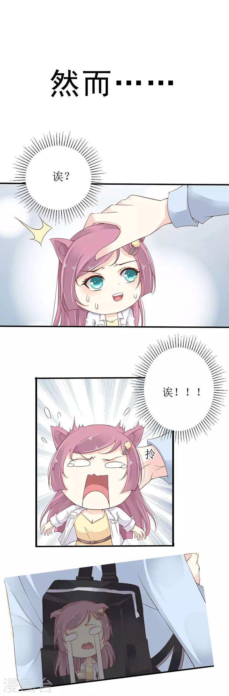 预告4