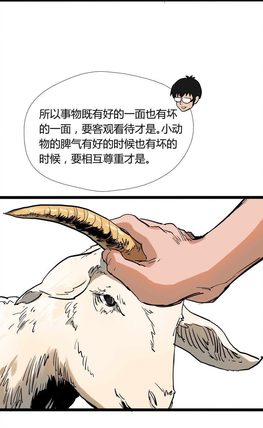 017 第十七话14
