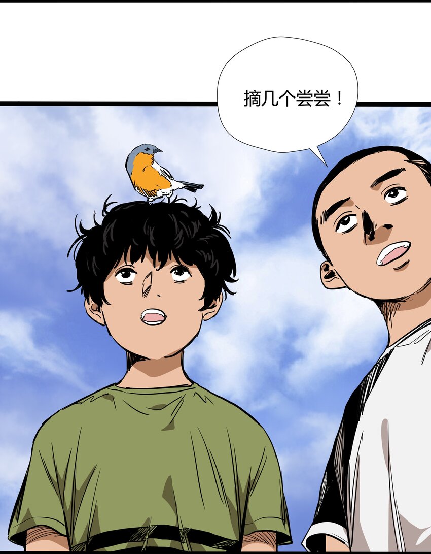 017 第十七话34