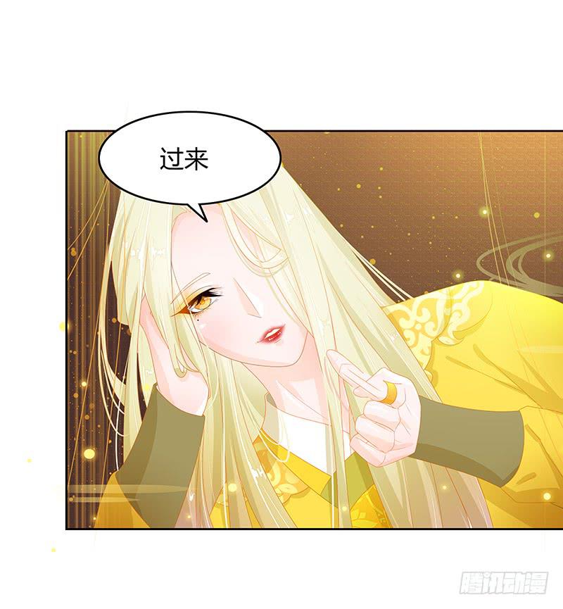 朕有猪一样队友15