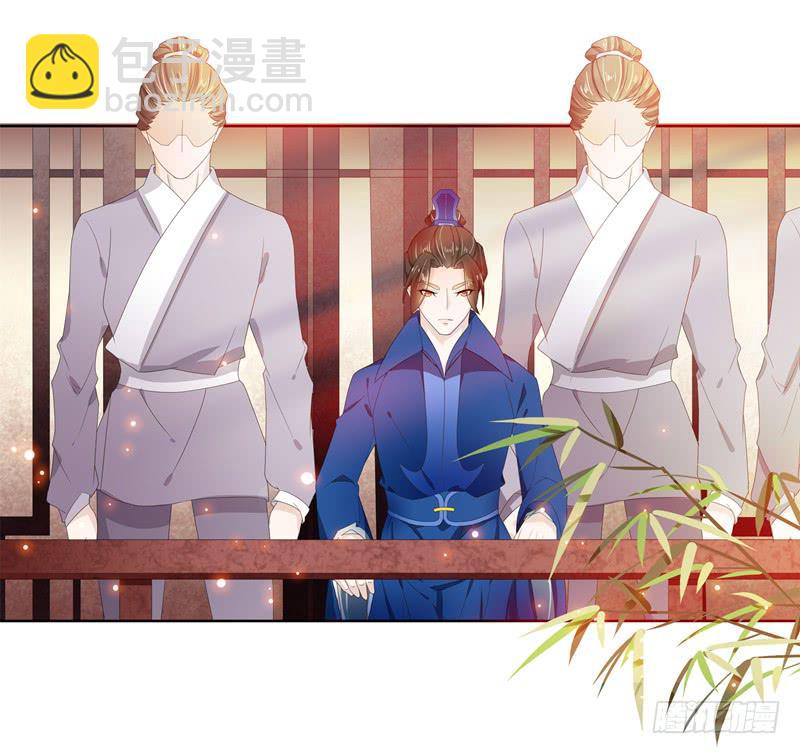朕的准皇夫找来了2