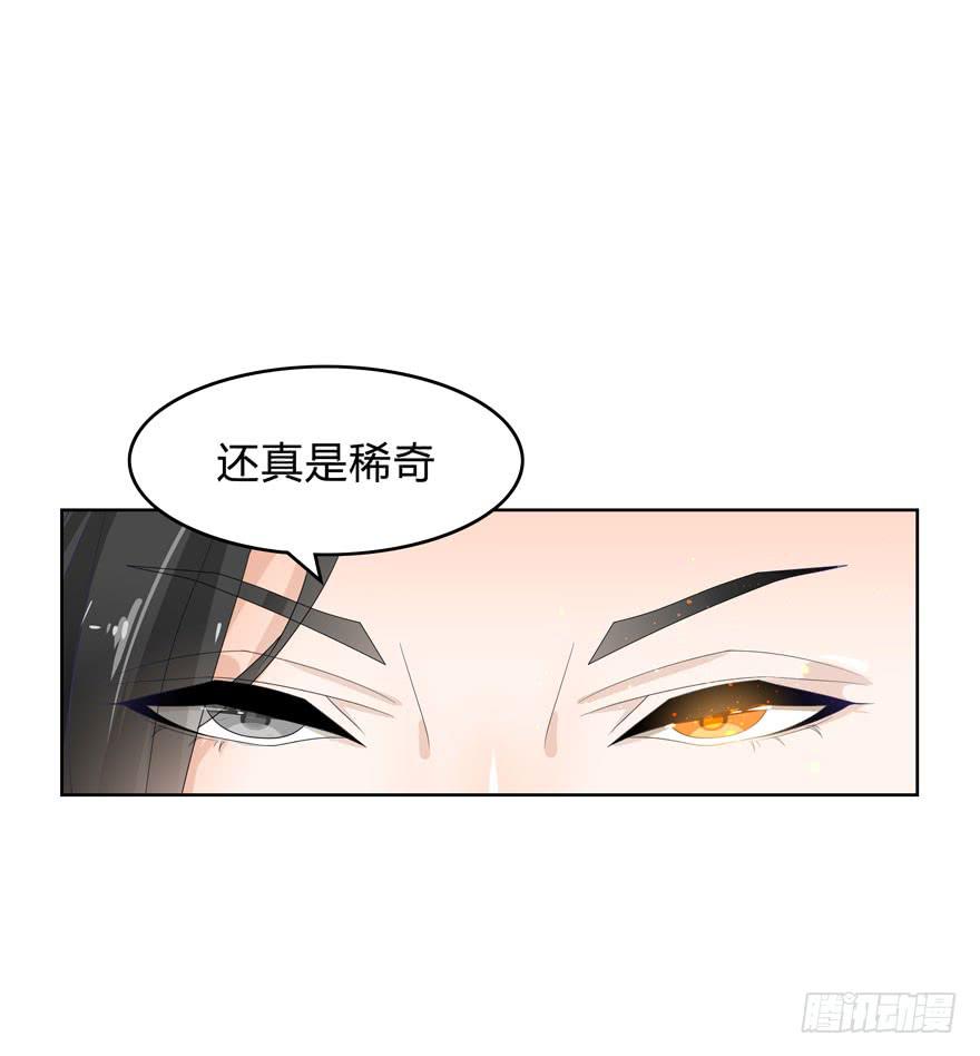 不是瞎子戴什么眼罩9