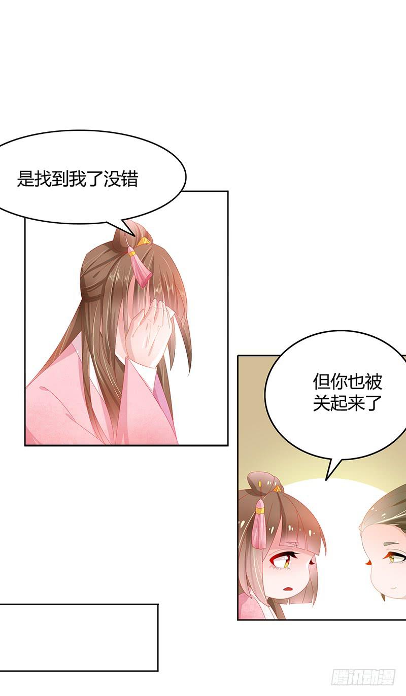 朕有猪一样队友31
