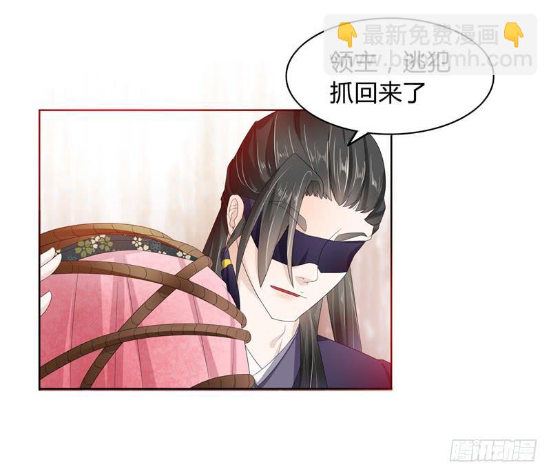 朕的准皇夫找来了3