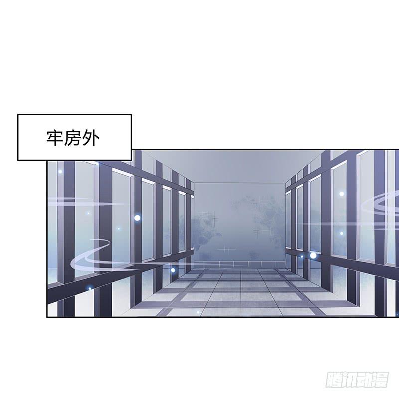 朕有猪一样队友34