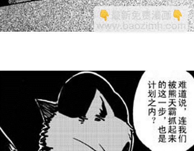 第5话  战况38