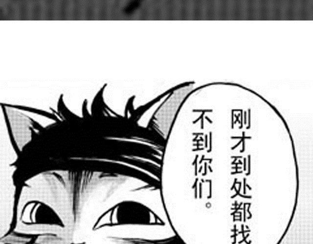 第10话 这碗酒，我敬你！48