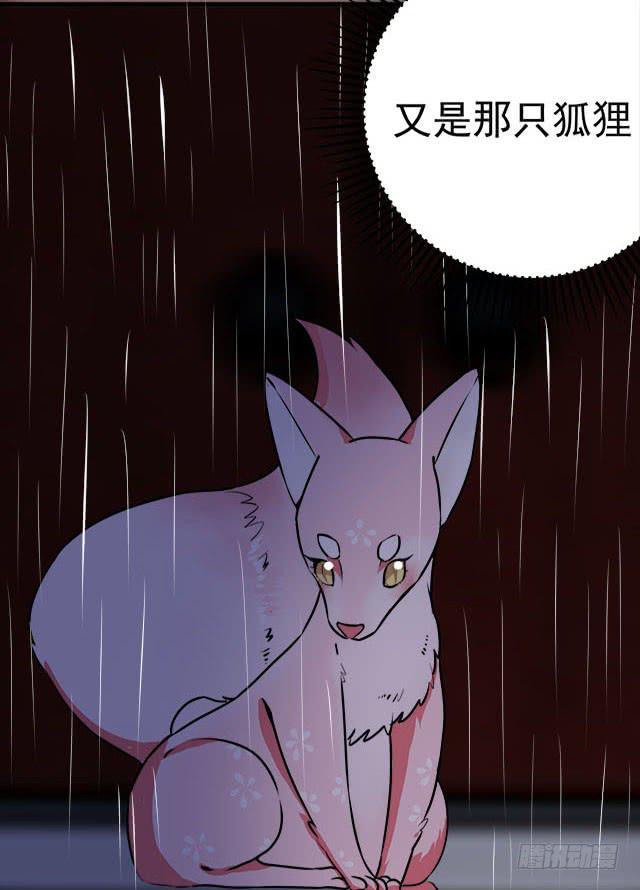是魔术，不是遇鬼！6