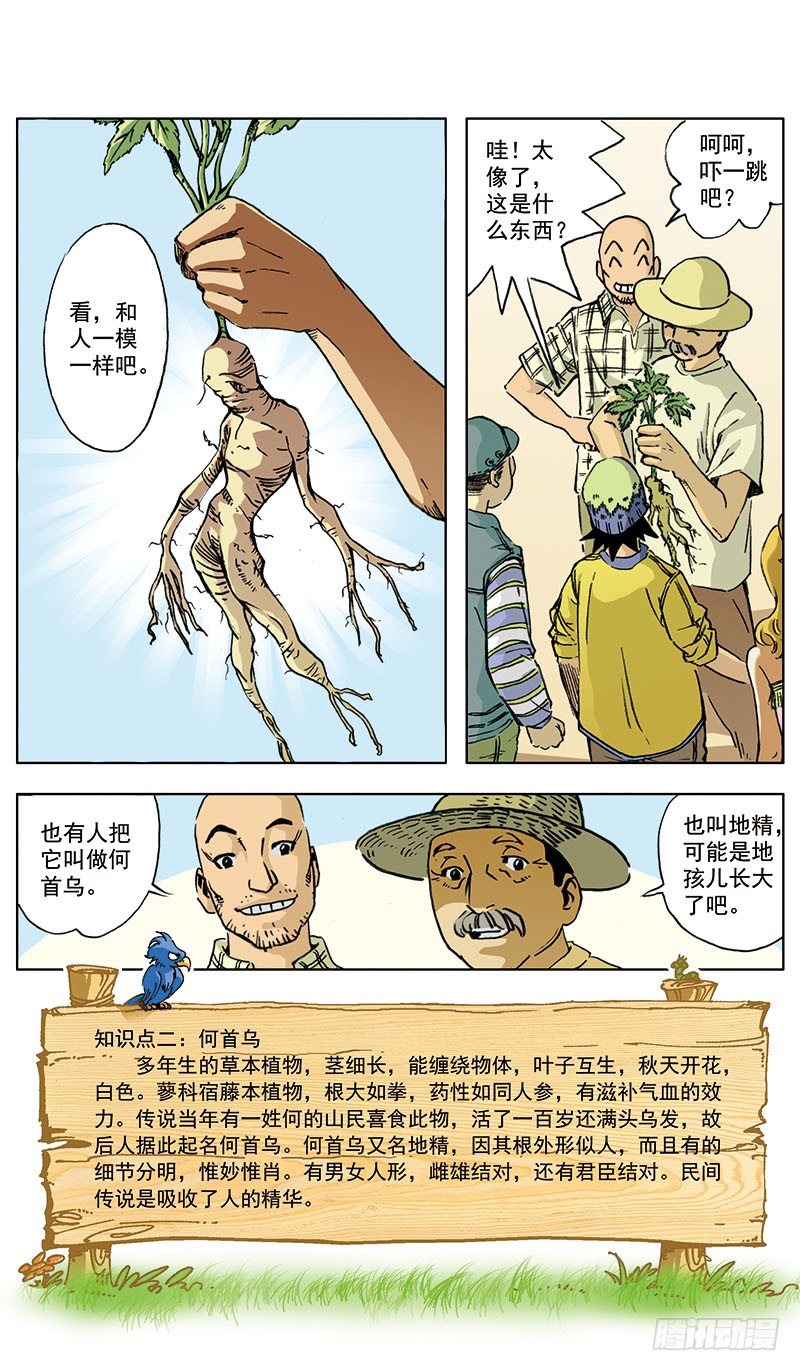 地孩0116