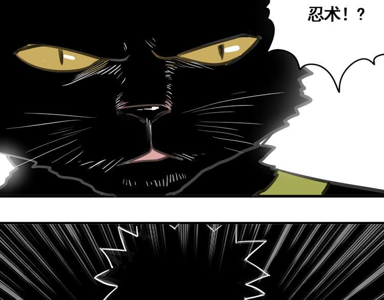 第1话 意外捡到大宝贝246