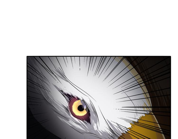 第4话 被改的志愿11
