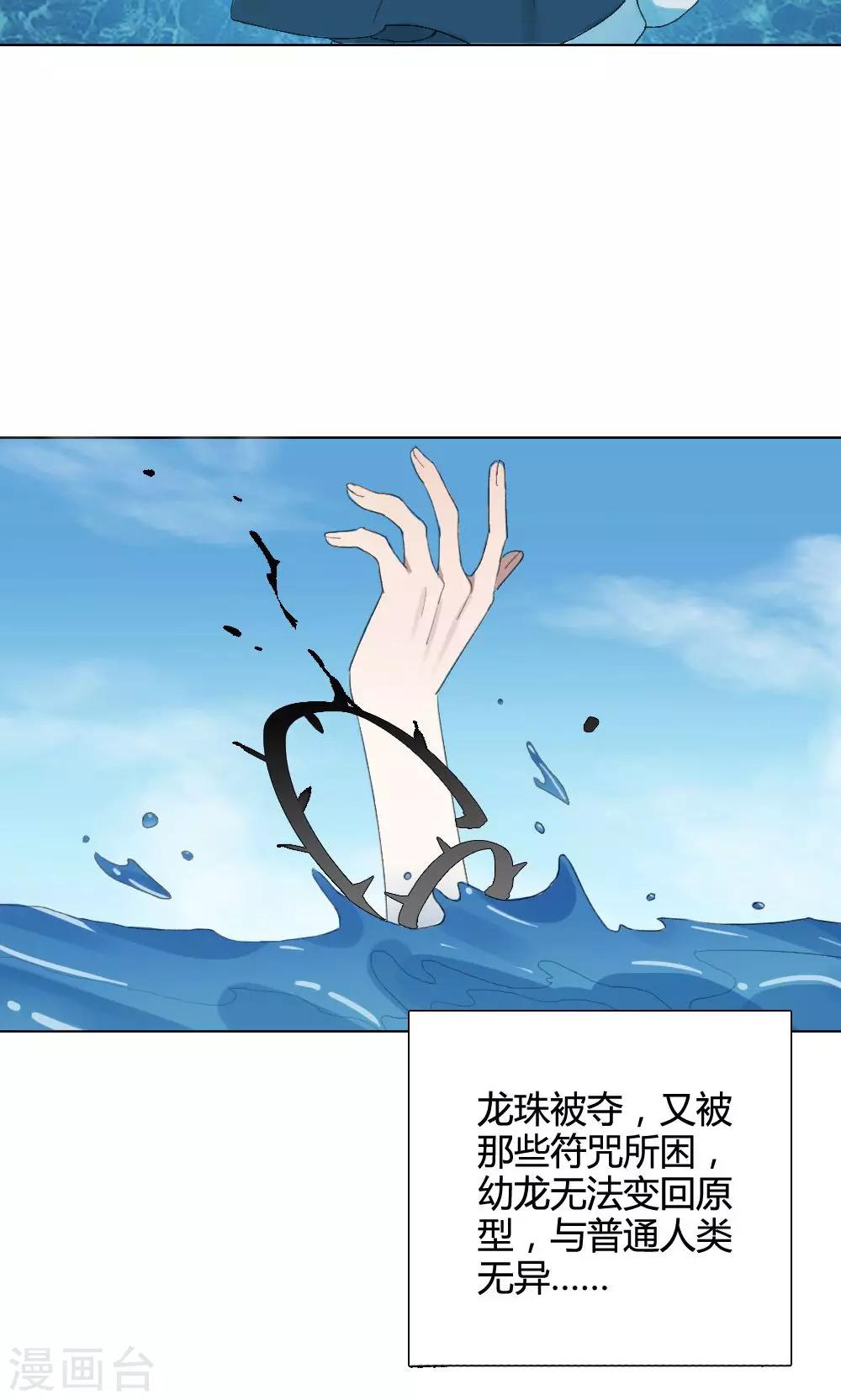 第8话 养龙日记534