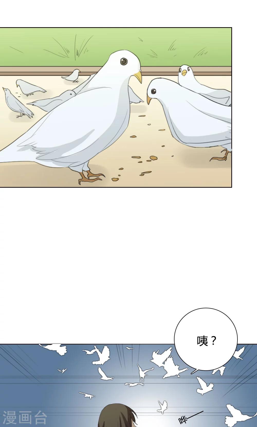 第5话 养龙日记234