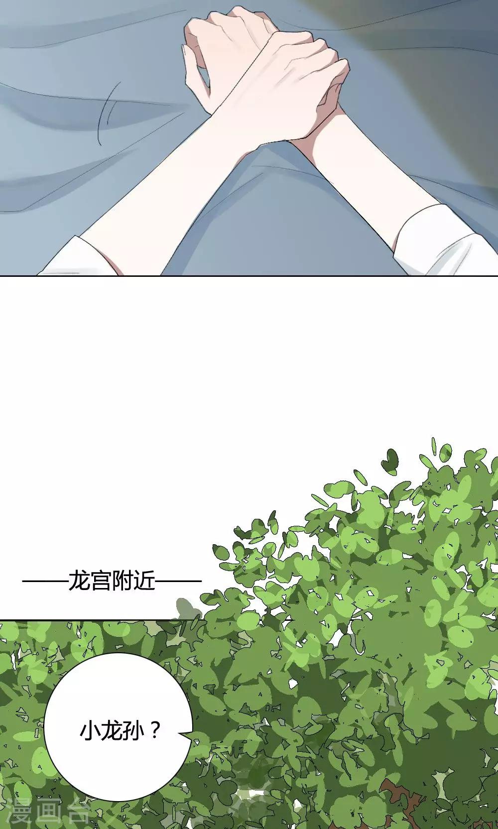 第8话 养龙日记520