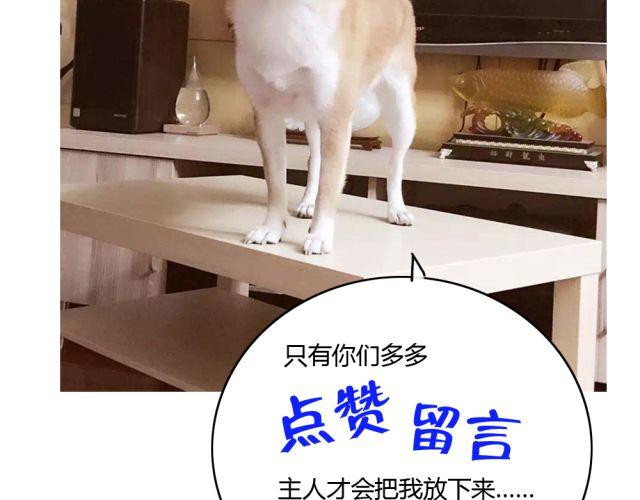 第7话 有什么让你心里不开心吗？33