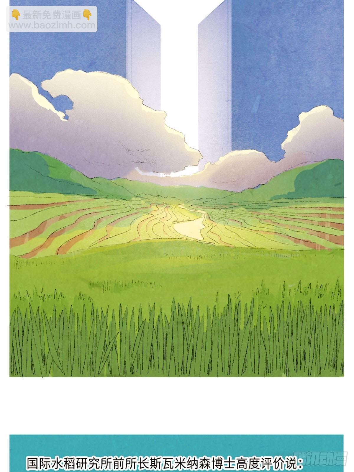最美奋斗者-袁隆平17