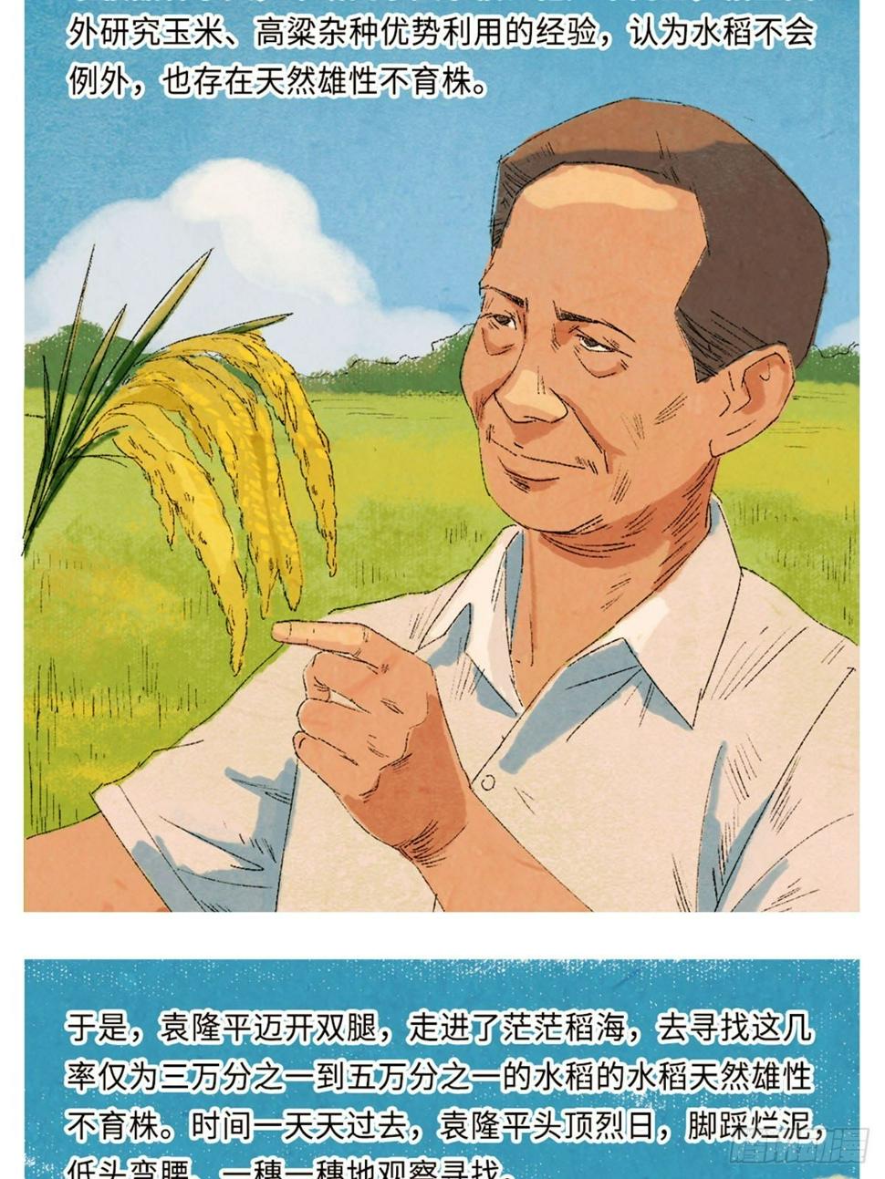 最美奋斗者-袁隆平7