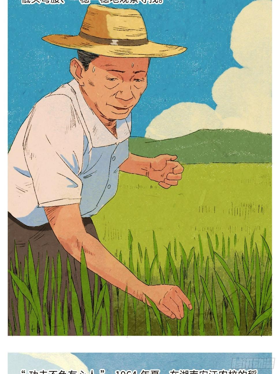 最美奋斗者-袁隆平8