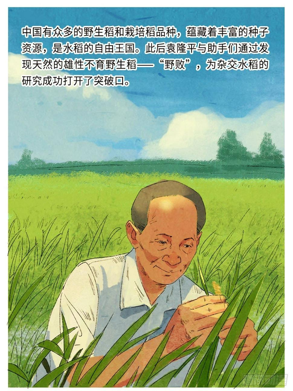 最美奋斗者-袁隆平12