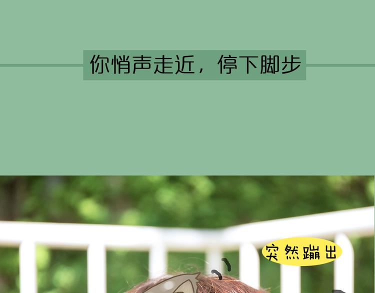 第1期《宠物男友》9