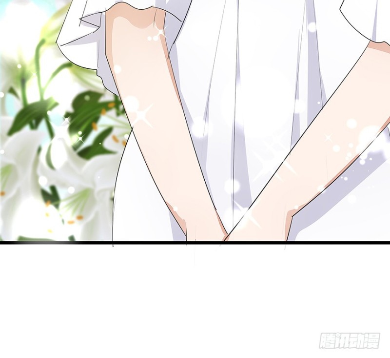 4054