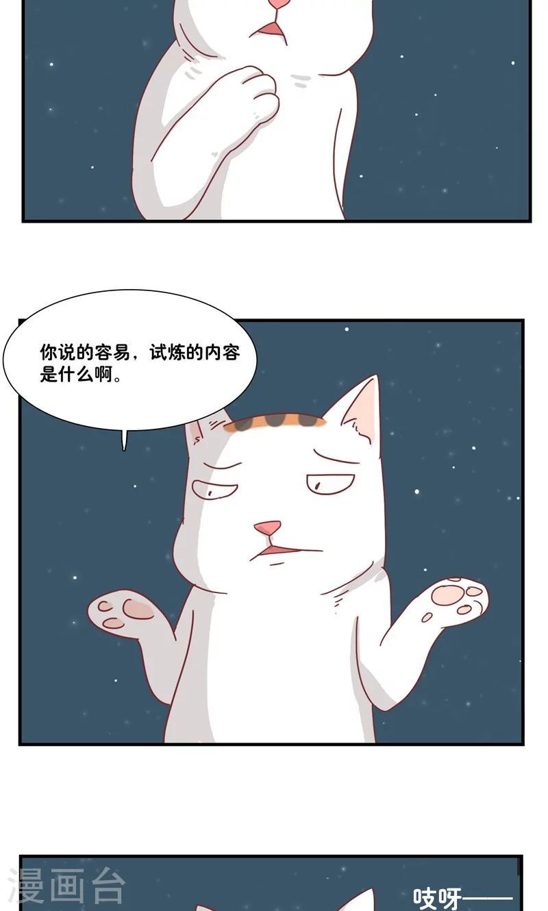 第11话 三花篇(11)2
