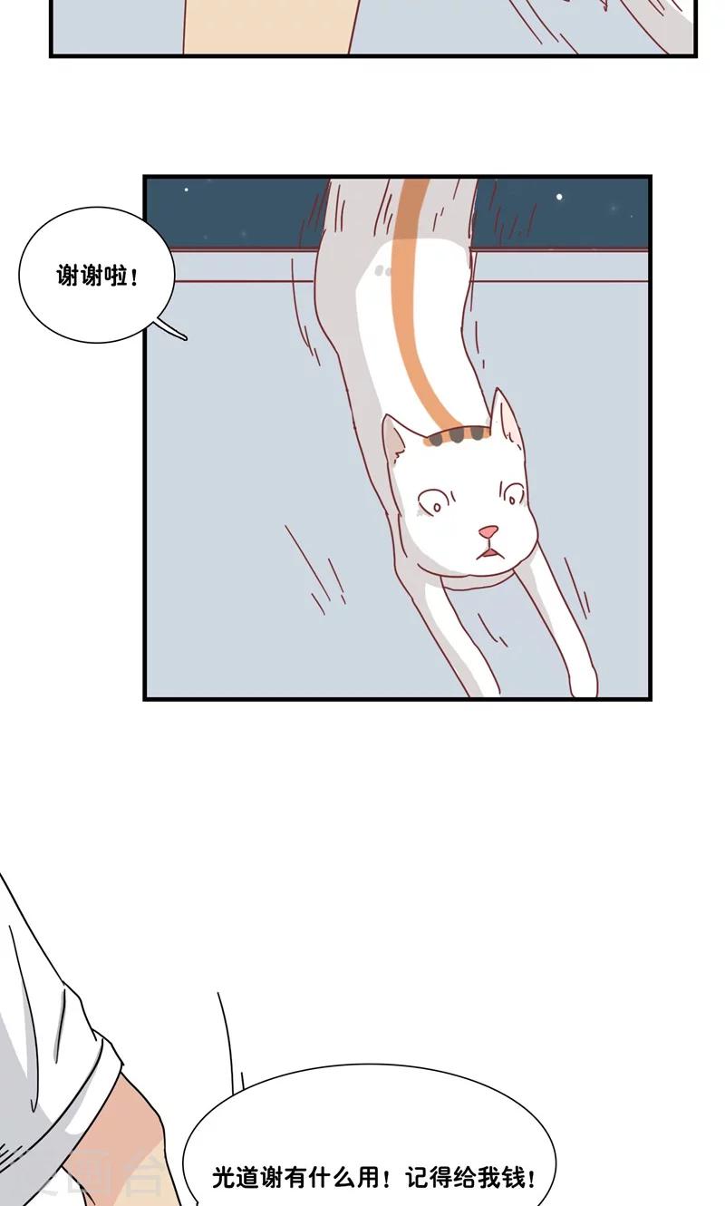 第11话 三花篇(11)11