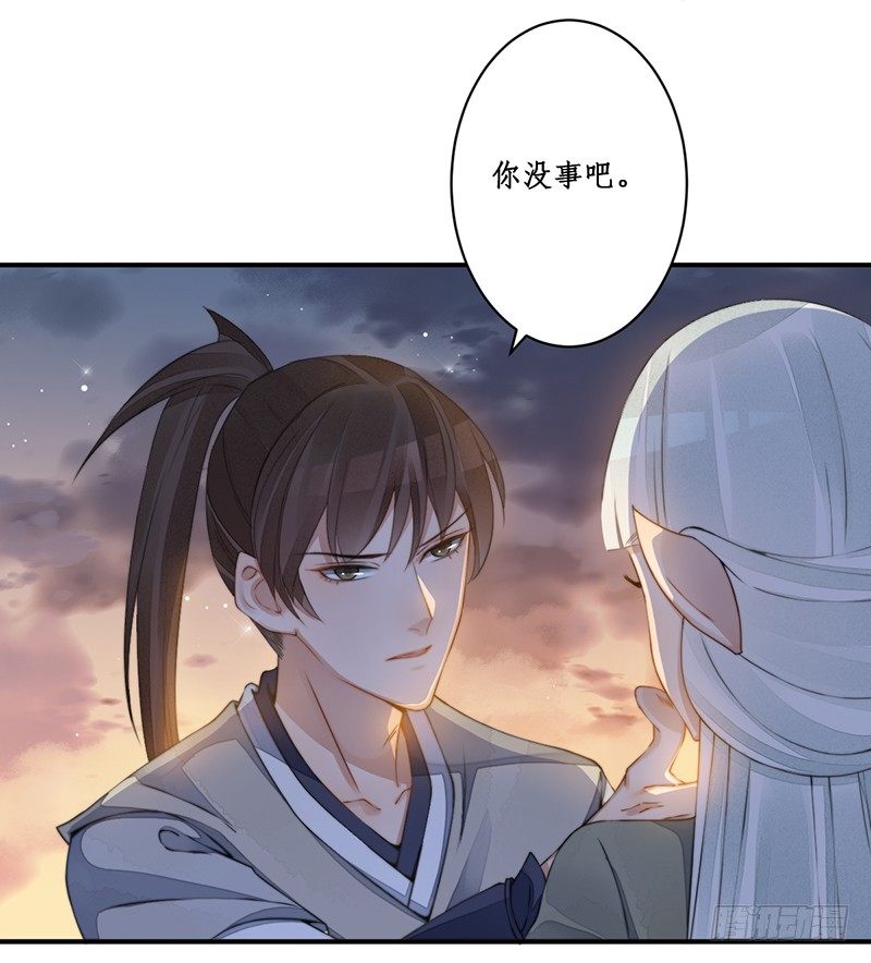 第十三话：情花之哀411