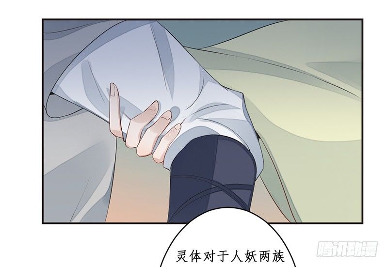 第七话：桃源初见537