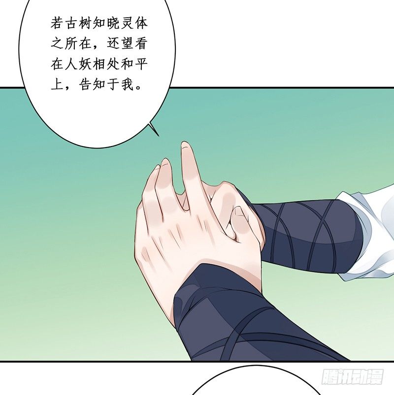 第五话：桃源初见347